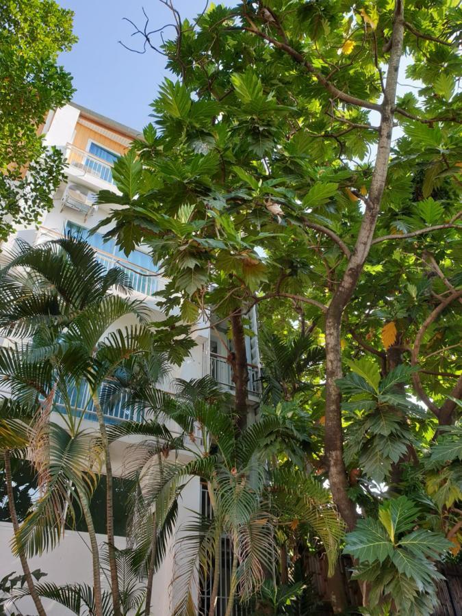 Breadfruit Hostel Τσιάνγκ Μάι Εξωτερικό φωτογραφία